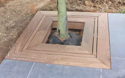 Terrasse en Ipé avec intégration d’un arbre